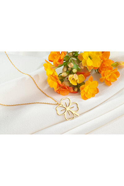 DIZY SILVER Altın Kaplama Dört Yapraklı Yonca Kolye Şans Sembolü Zarif Tasarı...