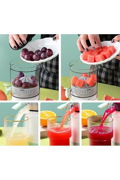 DAR Fruit Juicer 174-25
