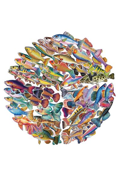 Choice 50PCS 50PCS Creative PVC Personalized Fish Decorative Handbag Stickers DIY Notebook Hand Waterproof