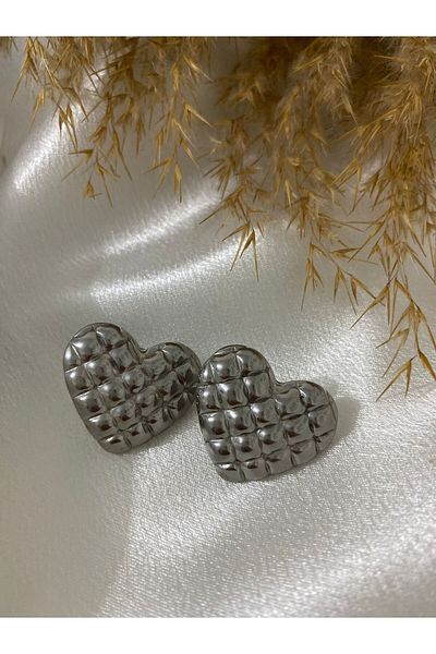 stainless steell Heart Model Steel Earrings