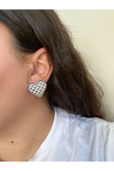 stainless steell Heart Model Steel Earrings
