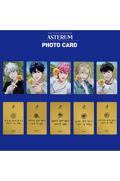 Choice 5Pcs A 5 Pcs/Set Korean Lomo Card Photo Cards Double-sided Photocards Fans Collection Gift