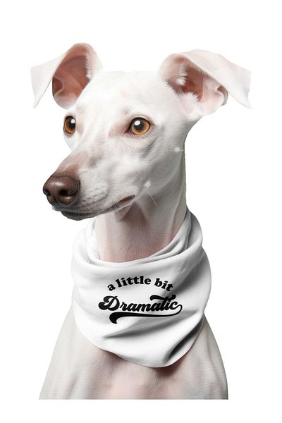 LIWOGY A Little Bit Dramatic Printed Dog Scarf Bandana