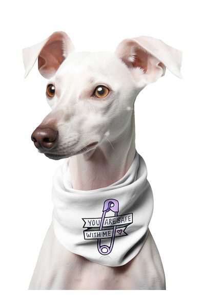 LIWOGY You Are Safe with Me Printed Dog Scarf Bandana
