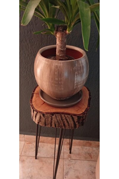 Home Toprak seramik saksı