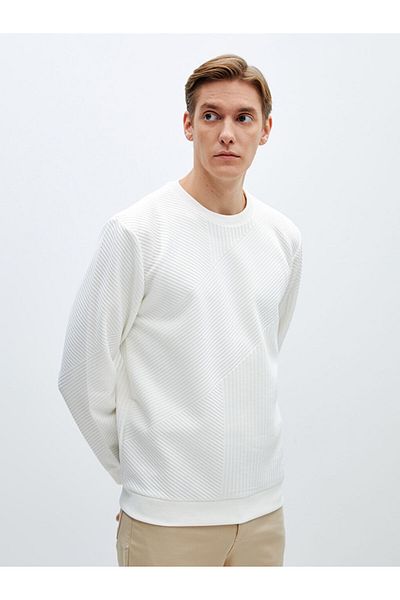 LC Waikiki Lcw Crew Neck Long Sleeve Men's Sweatshirt Fast Fashion