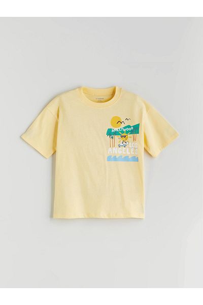 LC Waikiki Sari Crew Neck Printed Boy's T-Shirt
