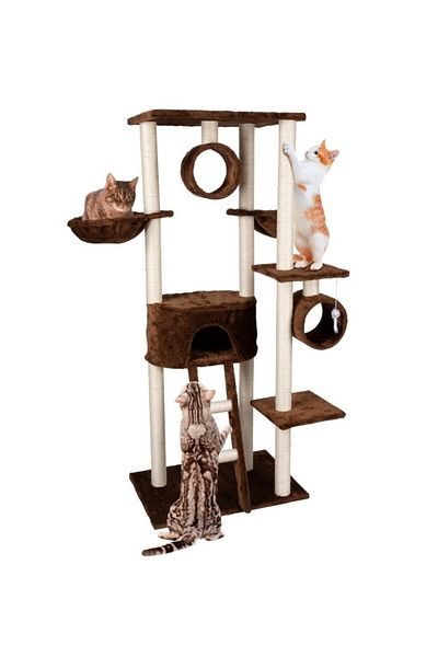 Pet Comfort Cat scratching post with bed 165 cm