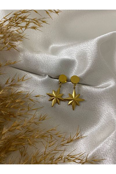 stainless steell North Star Steel Earrings