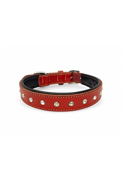 Canini Collar Hakiki Deri Parlak Taşlı-Yapay Elmaslı Köpek Tasması, Yumuşak Deriden İç Kısım, Krom Toka ve Kanca