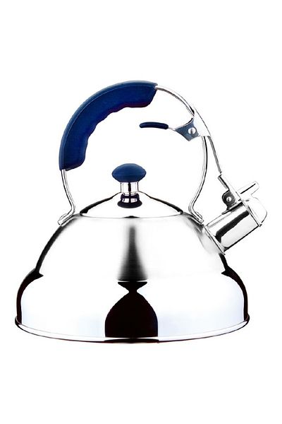 Kela Aquatic 5 l stainless steel whistling kettle