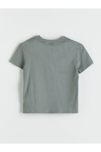LC Waikiki Crew Neck Printed Boy's T-Shirt