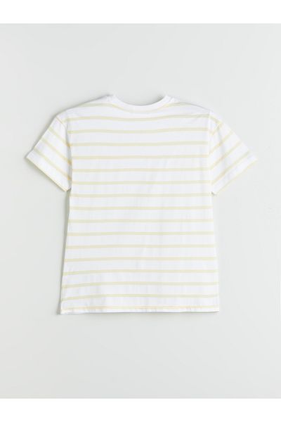 LC Waikiki Crew Neck Striped Women's T-Shirt