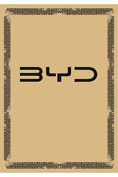 Universal Paspas Kağıdı Byd Logolu 100 Ad. 35x50 Cm