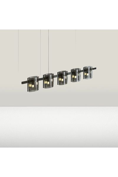 Jiju Led Modern Polish Gold Black Glass G9 X 5 Chandelier