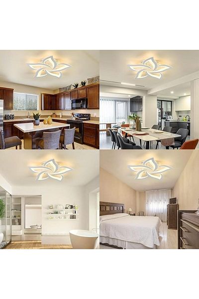 LightPlanet LED chandelier with wifi remote control D58cm 2.4G light/cold/warm/neutral adjustable intensity