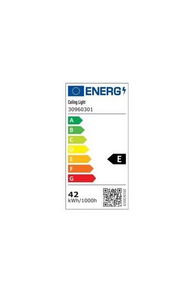 Sueva Minimalist Ring LED Chandelier with 2.4G wifi Remote Control, light/cold/warm/neutral, adjustable intensity