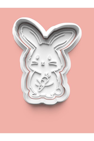 AKTASTORE Cute Carrot Eating Rabbit Cookie Mold and Sugar Dough Mold