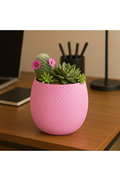 Spiral Desenli Saksı – Modern Minimalist Tasarım