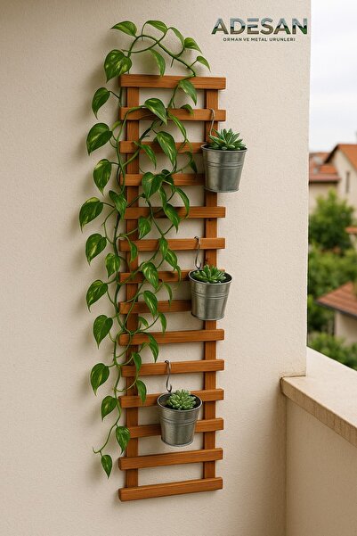 Çakır Home Doğal Ahşap Duvar Saksı Askısı 3'lü Set | Sarmaşık ve Çiçek Askılığı | Balkon Dekorasyonu | Saksılık