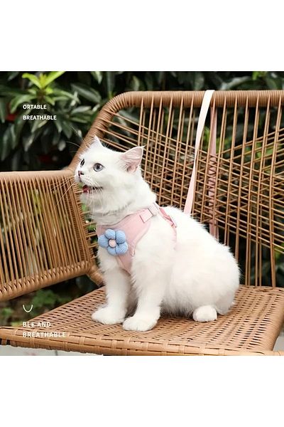 dukart Pet Floral Collar, Size m
