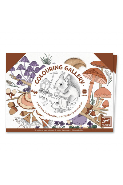 djeco Mapa cu 3 postere de colorat Natura, Djeco, gama actuala copii