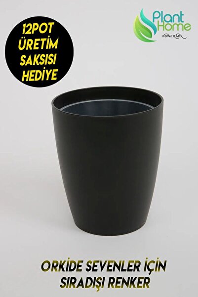 uHeL Orkide Saksısı Siyah Dekoratif Dış Saksı 1 Adet- 12 Pot Şeffaf Orkide Ür...