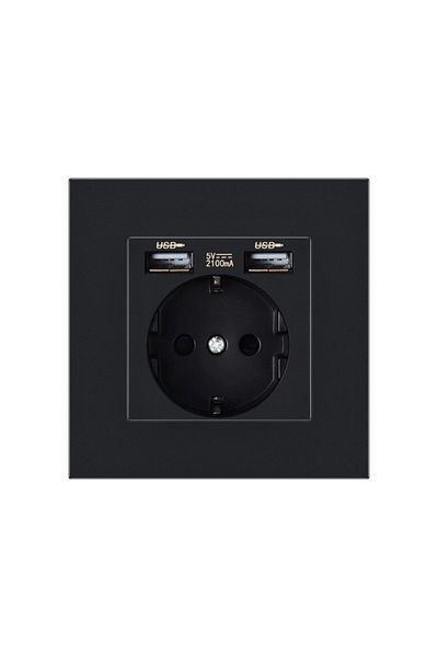 TECHSTAR ® Pcu1 Socket, Single, 2 X Usb, 2.1 A, Black Color, Polycarbonate, 16a