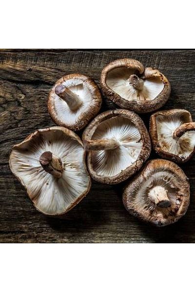 YABANEEZ BLACK SHIITAKE MUSHROOM