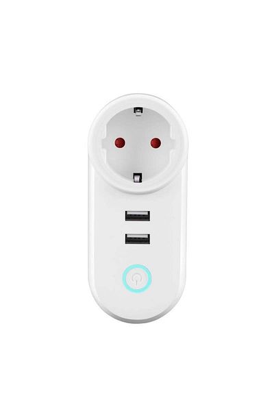 TECHSTAR Smart Techstar® socket, Wireless 2.4GHz, 2 x USB, Smart Home, Google Home. Amazon Echo, Alexa
