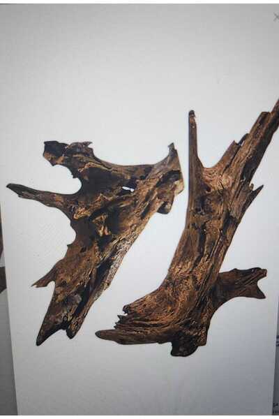 EuroStar VOLMİN PETSHOP MANGROV KÖKÜ AKVARYUM DEKOR 45CM XL 1 PARÇA ÜRÜN