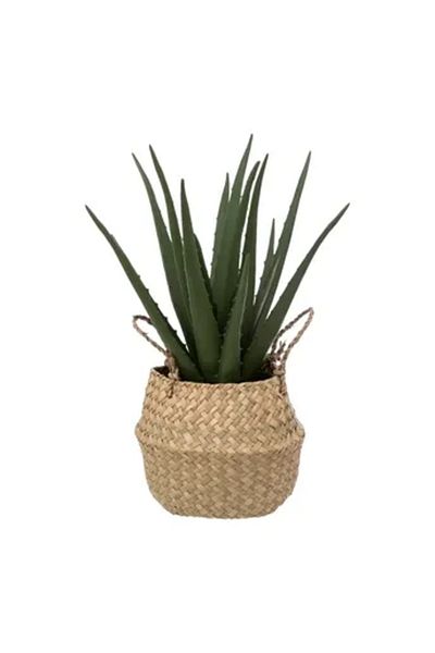 Own Artificial Aloe Vera Plant W/Weaved Planter (24 x 37 cm)