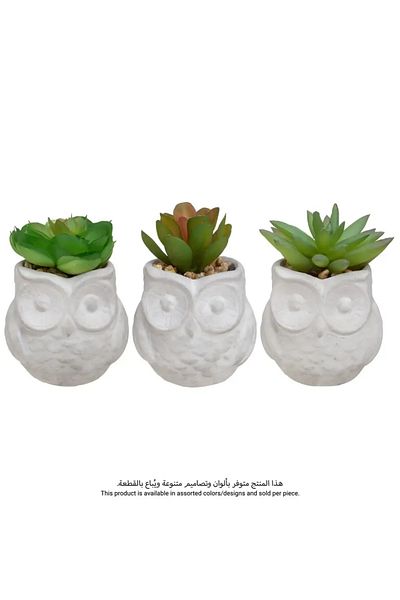 Own Succulent Owl Pot (Assorted Designs, H. 8 cm)