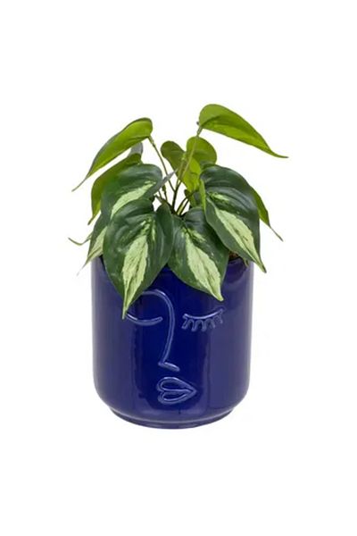Atmosphera Soleya Plant with Ceramic Face Pot (H. 30 cm)