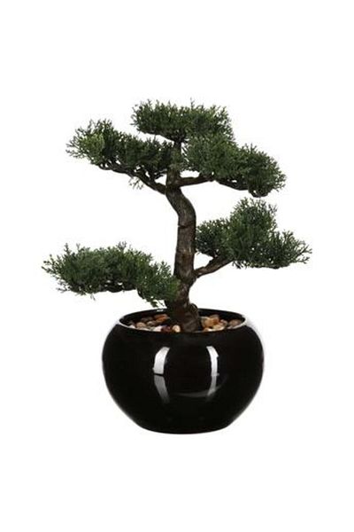 Own Artificial Bonsai Plant W/Ceramic Pot (35 x 32 x 34 cm)