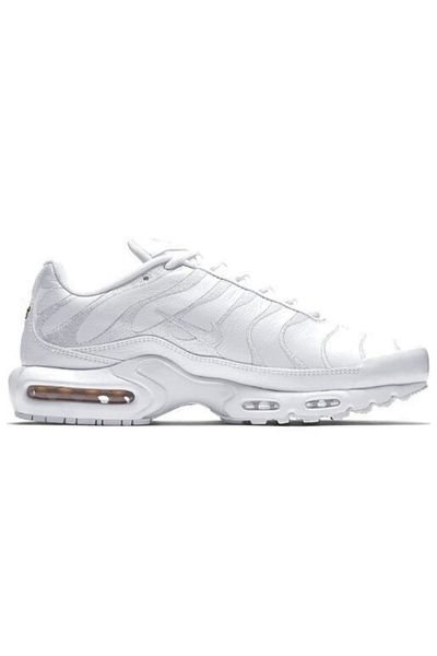 Nike Air Max Plus – Men’s Running Shoes with Air Cushioning and Mesh Upper