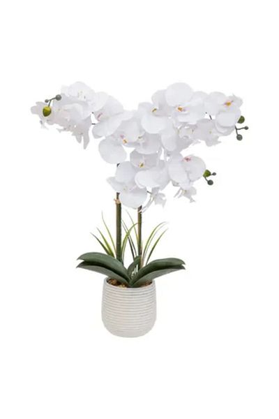 Atmosphera Riva Orchid with Ceramic Pot (H. 60 cm)