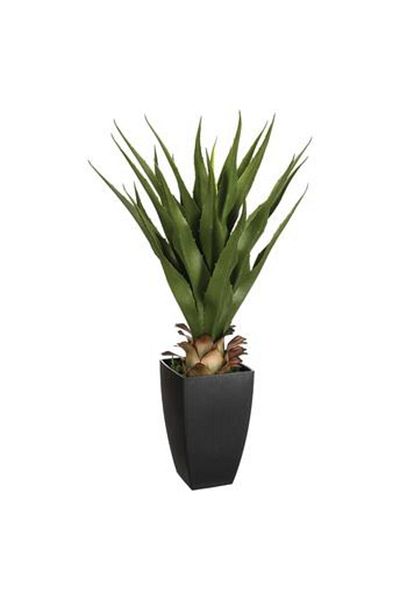 Own Artificial Agave Plant W/Pot (56 x 54 x 71 cm)