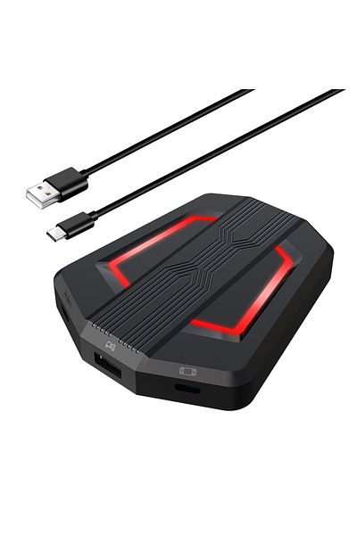 ENAR P6 keyboard and mouse kit converter
