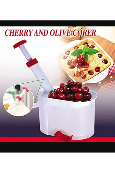 Generic 2-piece cherry and olive pitter