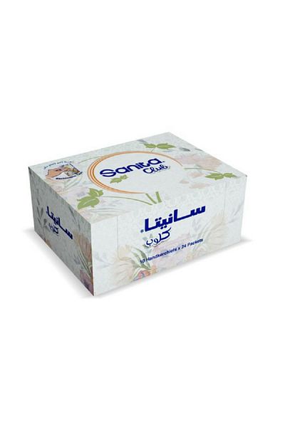 Sanita Club 24-Piece Pocket Tissue Set Multicolor