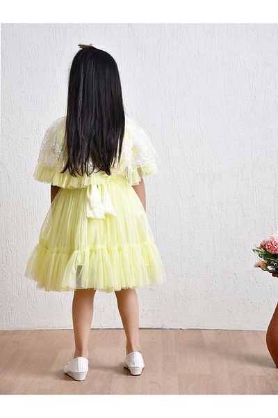Bella Moda By Styli Embellished Flutter Sleeves Mesh Knee-Length Dress