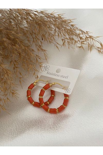 stainless steell Colorful ring steel earrings