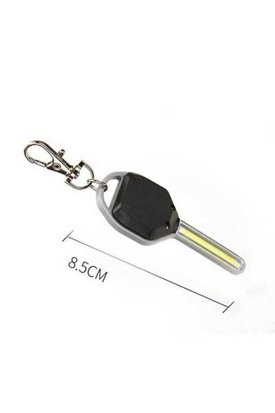 Skygo New Generation Illuminated Keychain Wt-376