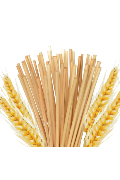 adin tasarım Long Cocktail Straw 50Pcs 20 cm Wheat Stalk Straw Cocktail Straw Cocktail Straw 50 Pieces