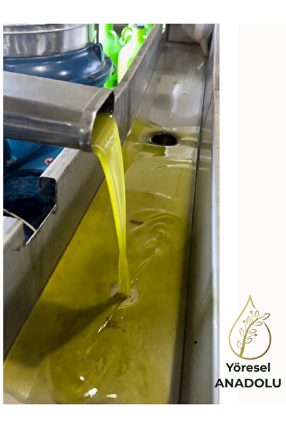 YÖRESEL ANADOLU Kendi Ürünümüz Soğuk Sıkım Zeytin Yağı 5 Litre (Tamamen Doğal...