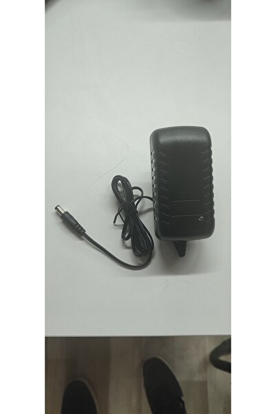 OEM 21 Volt 1A 5S Lityum Şarj Aleti Adaptör