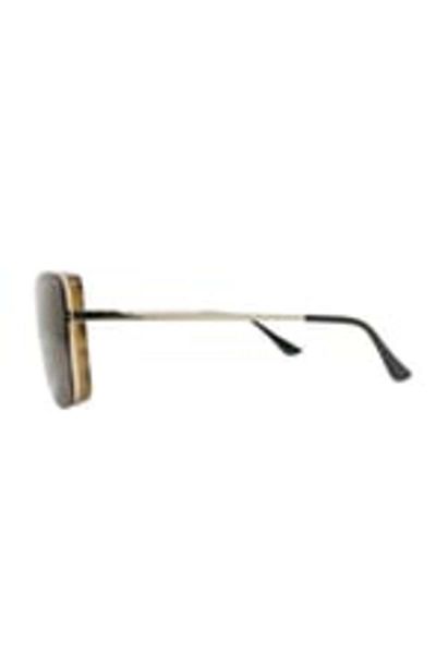 HAWK 1964 02 55 Women Sunglasses