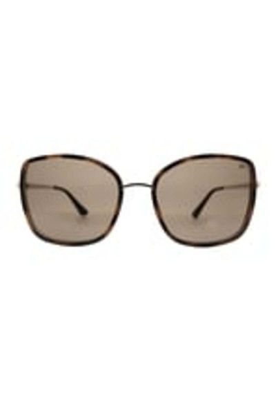 HAWK 1964 02 55 Women Sunglasses