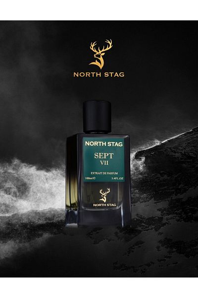 Paris Corner North Stag Sept Vii , Perfume Extract, Men, 100 Ml, 100 ml
